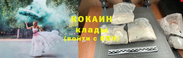 тгк Алексин