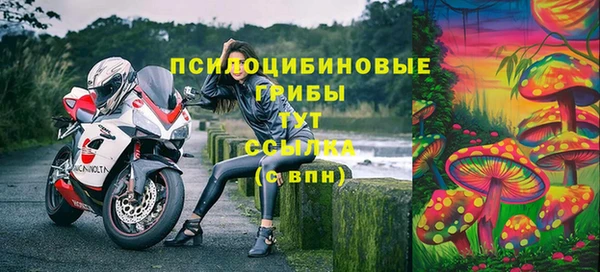 стаф Алексеевка