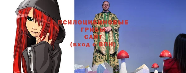 тгк Алексин