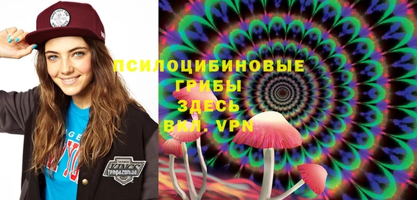 тгк Алексин