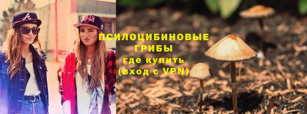 тгк Алексин