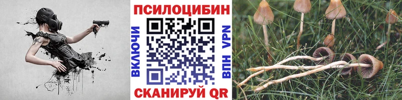 Галлюциногенные грибы мухоморы Южно-Сахалинск